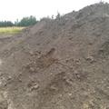 Грунт плодородный на самовывоз Разметелево