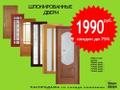 Распродажа шпонированных дверей со скидкой до 75%