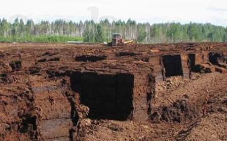 Купить торф в спб, купить торф низинный, продажа торфа, торф с доставкой, торф спб, купить торф в мешках.