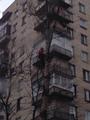 Спил, валка и кронирование деревьев