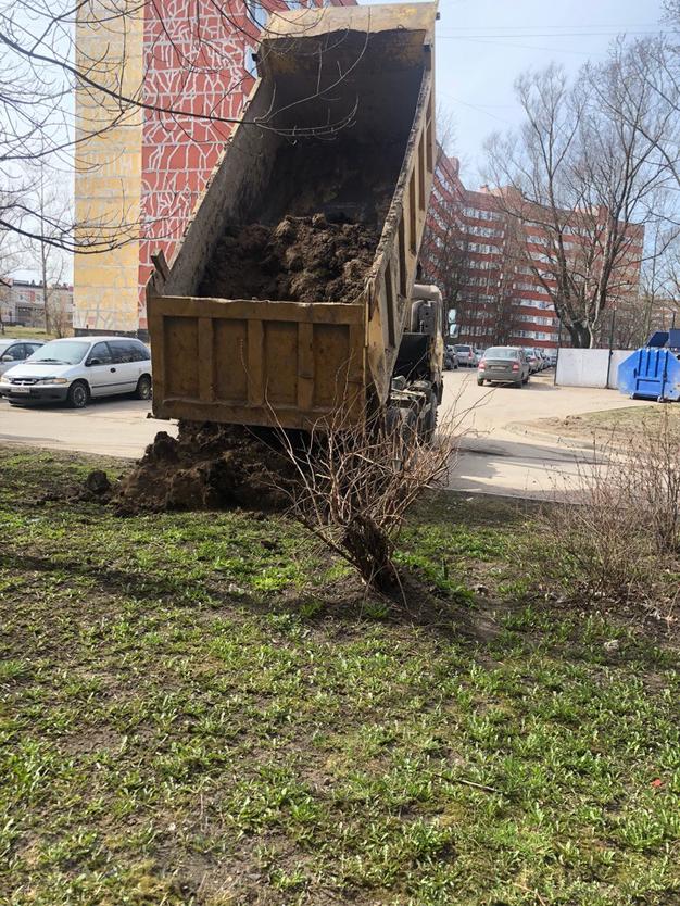 Земля для газонов с доставкой от 20 м3 по спб и лен обл  юго запад