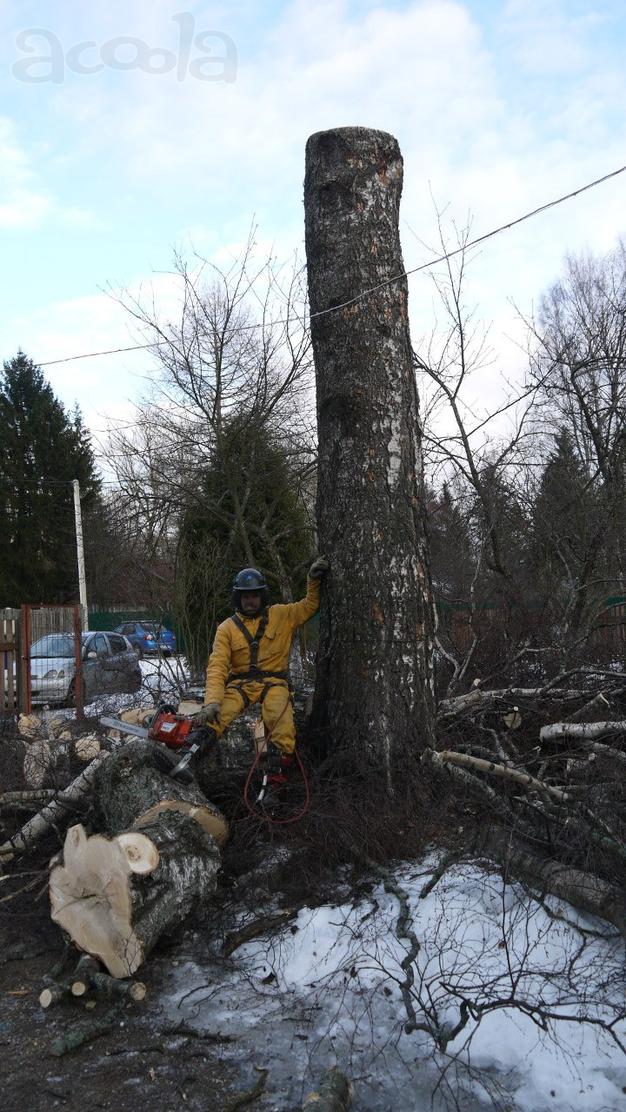 Спил деревьев частями, кронирование, валка.