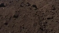 Плодородная земля только с доставкой