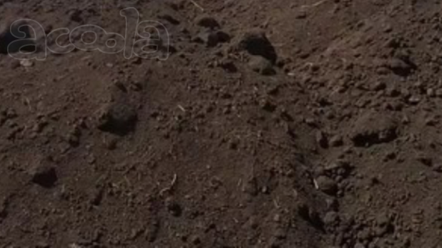 Плодородная земля только с доставкой