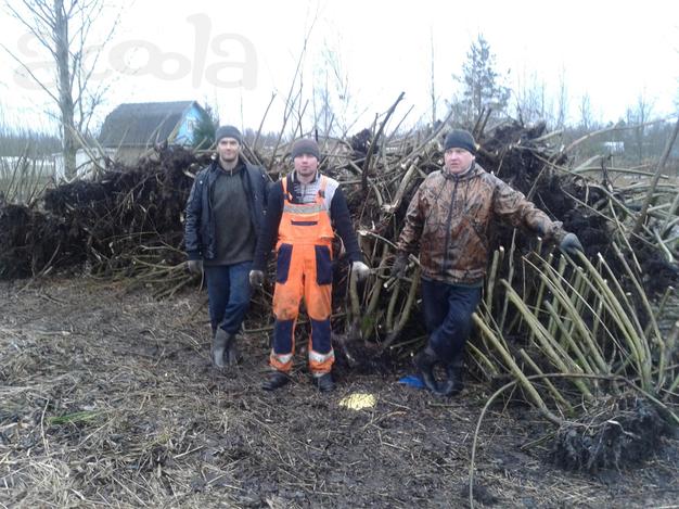 Расчистка участка от кустарника, деревьев, пеньков