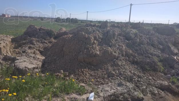 Завтра привезу грунт в районе Павловска.