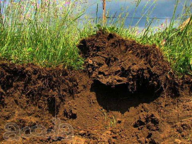 Плодородный грунт с доставкой или самовывоз 280