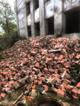 Песок щебень бой бетона вывоз грунта Спб