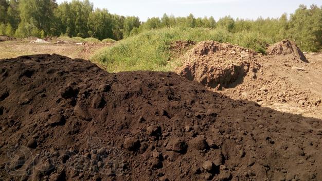 Плодородная земля в Пушкине