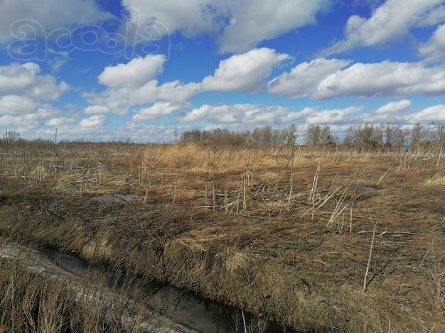 Отдам плодородную землю