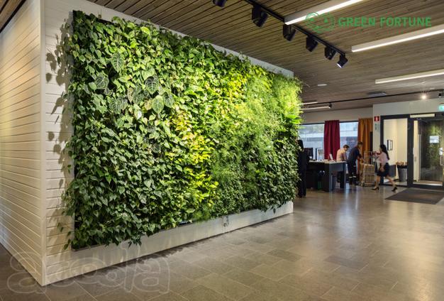 Благоустройство территорий в Санкт-Петербурге: дорожки, озеленение